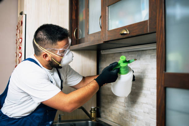 Reliable Elk Grove Village, IL Pest Control Solutions