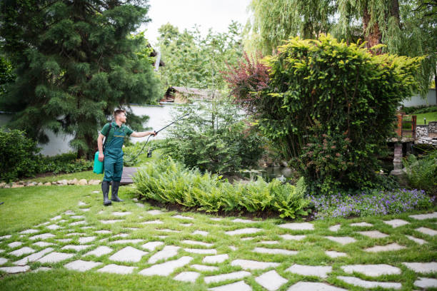 Best Pest Removal Services  in Elk Grove Vlage, IL