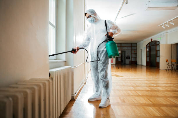 Best Pest Prevention Services  in Elk Grove Vlage, IL